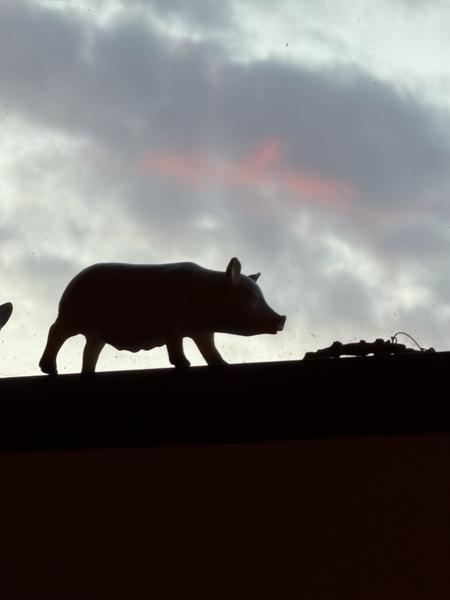 A striking silhouette of a pig statue stands atop a roofline against a dramatic cloudy sky, with hints of pink light breaking through